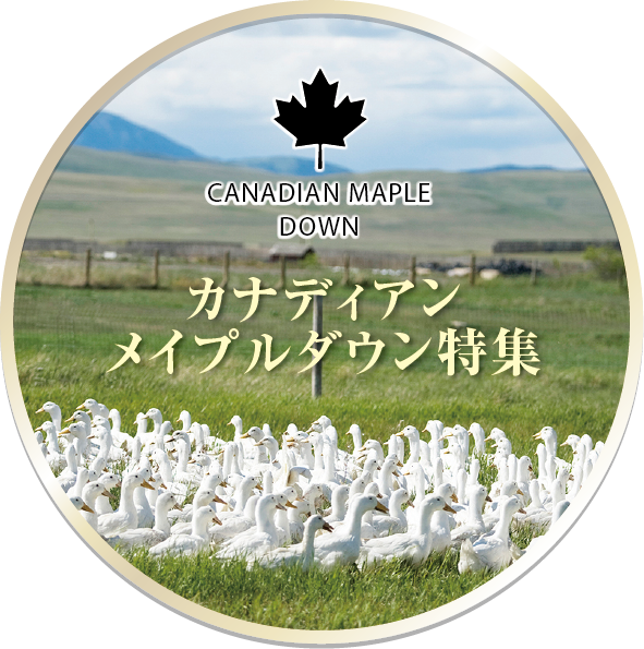 カナディアンメイプルダウン特集