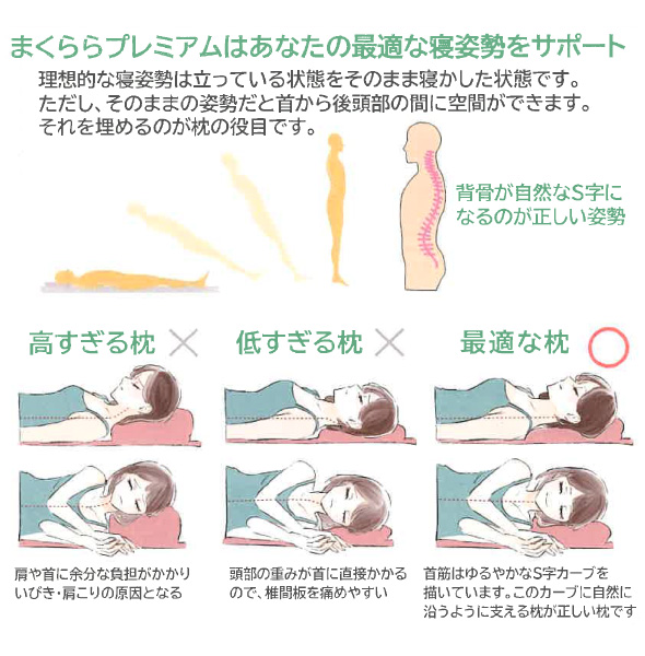 最適な寝姿勢をサポート